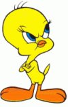 poulet ou titi
