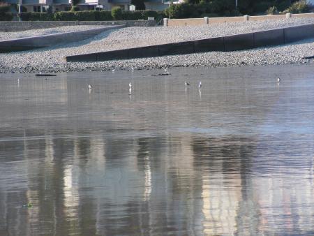 reflet