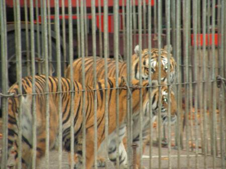 VISITE A DES COPAINS